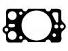 气缸垫 Cylinder Head Gasket:116760150805