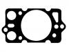 气缸垫 Cylinder Head Gasket:60605900