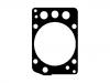 Joint de culasse Cylinder Head Gasket:460 016 04 20